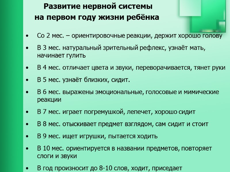 Развитие нервной системы      на первом году жизни ребёнка 